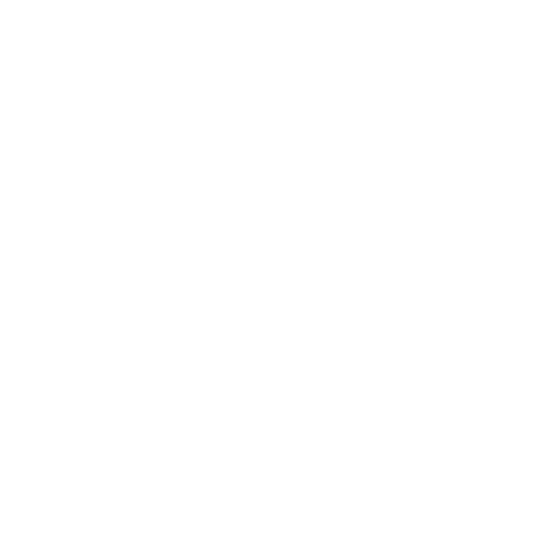 DVG Projectondersteuning